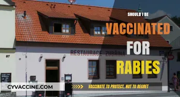 Rabies Vaccination: Essential Protection or Unnecessary Precaution?