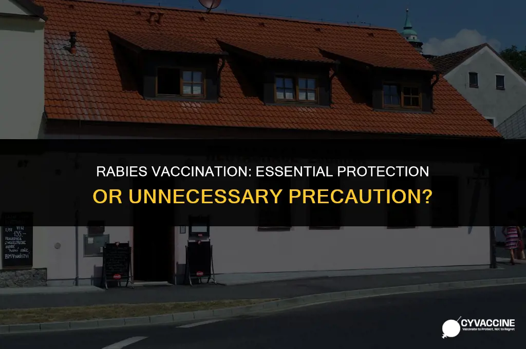 should i be vaccinated for rabies