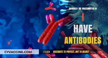 Antibodies vs. Vaccination: What’s Best for Your Immunity?