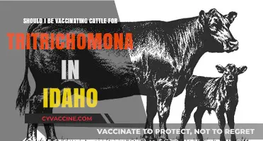 Should Idaho Cattle Farmers Vaccinate Against Tritrichomonas? Key Insights