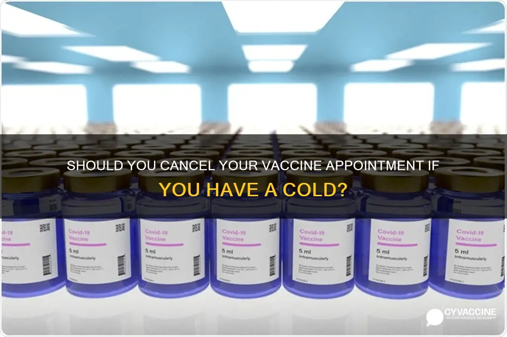 should i cancel my vaccine if i have a cold