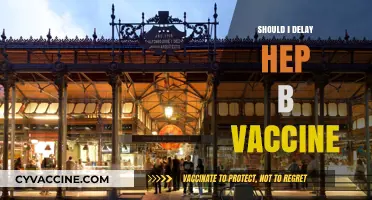 Considering a Hepatitis B Vaccine Delay: Weighing the Risks and Benefits
