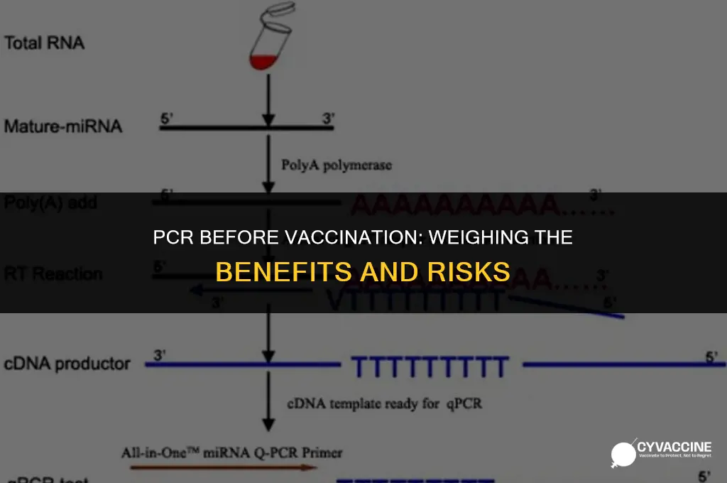 should i do pcr before vaccination