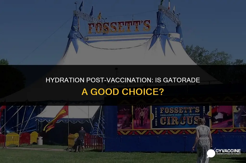 should i drink gatorade after vaccine