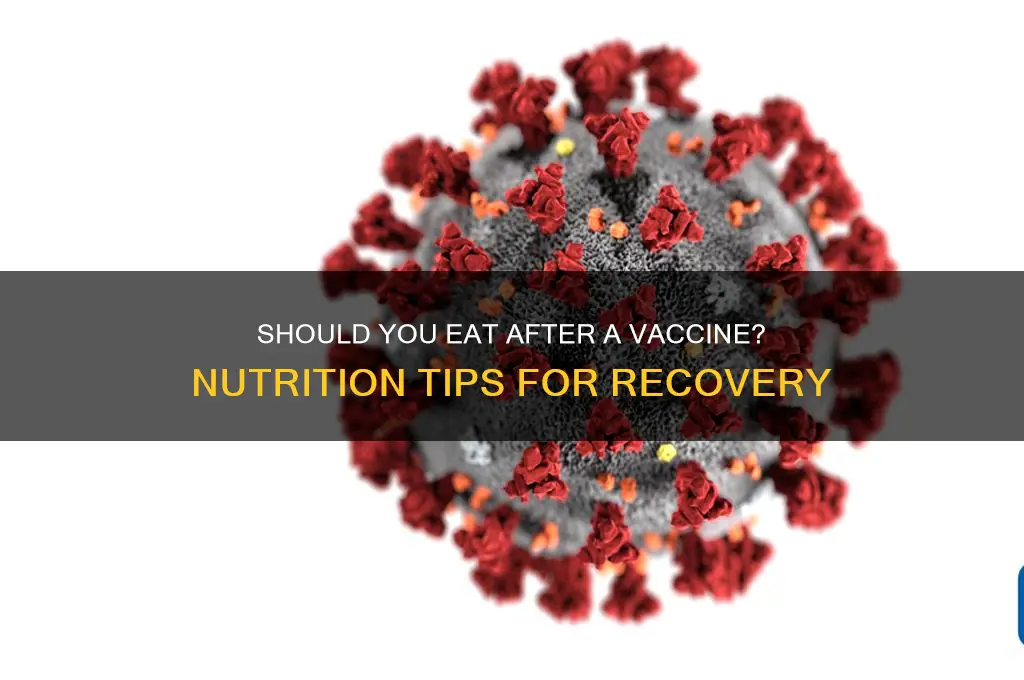 should i eat when sick from a vaccine