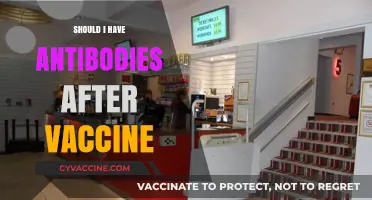Vaccine Antibodies: Understanding Your Body's Defense Post-Jab