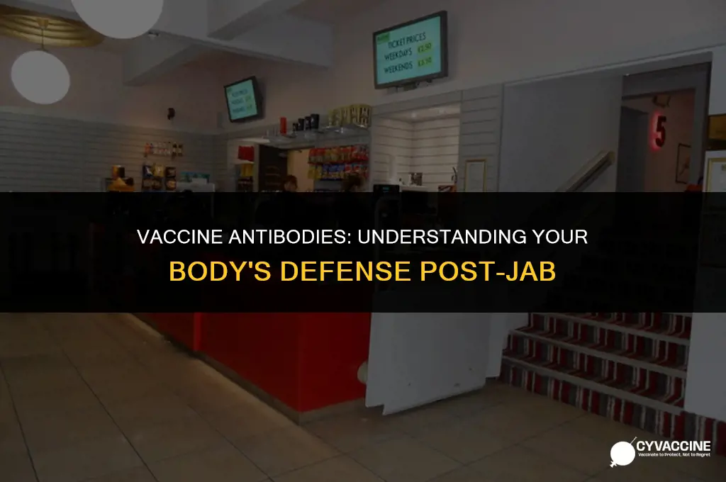 should i have antibodies after vaccine