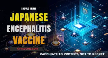 Protecting Yourself from Japanese Encephalitis: The Vaccine Dilemma