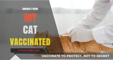 Feline Health Essentials: The Importance of Vaccinating Your Cat