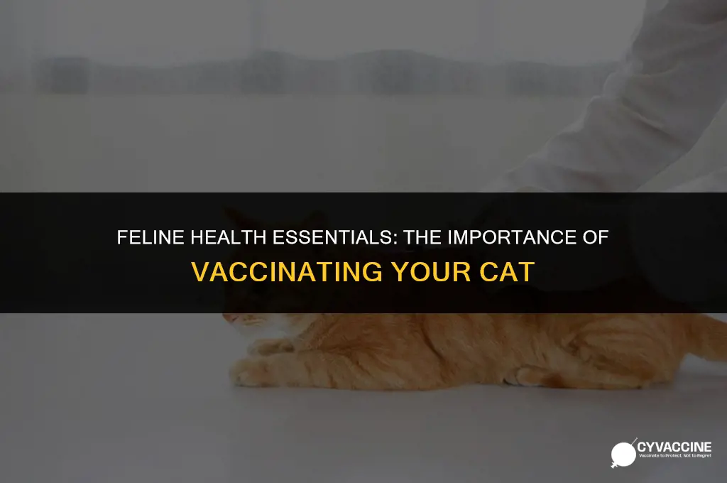 should i have my cat vaccinated