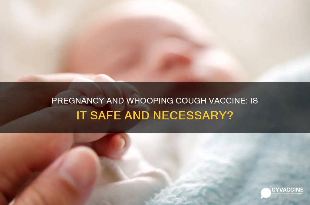 should i have the whooping cough vaccine when pregnant
