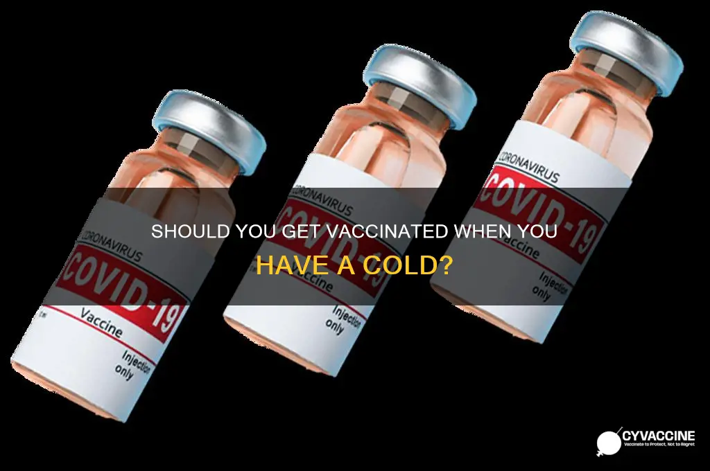 should i have vaccine if i have a cold