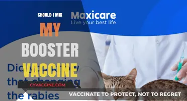 Boosting Immunity: The Do's and Don'ts of Mixing Vaccines