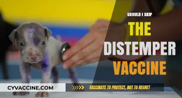 Navigating Canine Health: The Distemper Vaccine Dilemma Explained