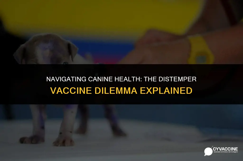 should i skip the distemper vaccine