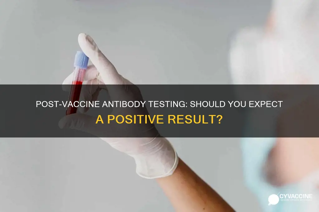 should i test positive for antibodies after vaccine