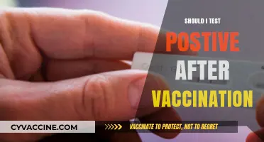 Vaccinated and Positive: Understanding Post-Vaccination COVID-19 Test Results