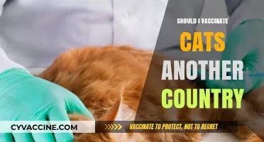 Feline Vaccination Abroad: Essential Tips for Traveling Cat Owners