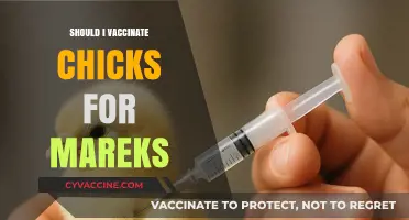Protecting Your Flock: The Importance of Marek's Vaccination for Chicks