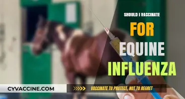 Protecting Your Horse: The Importance of Equine Influenza Vaccination