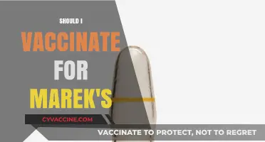 Protecting Your Flock: The Marek's Vaccine Dilemma