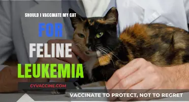 Should You Vaccinate Your Cat for Feline Leukemia? Key Considerations
