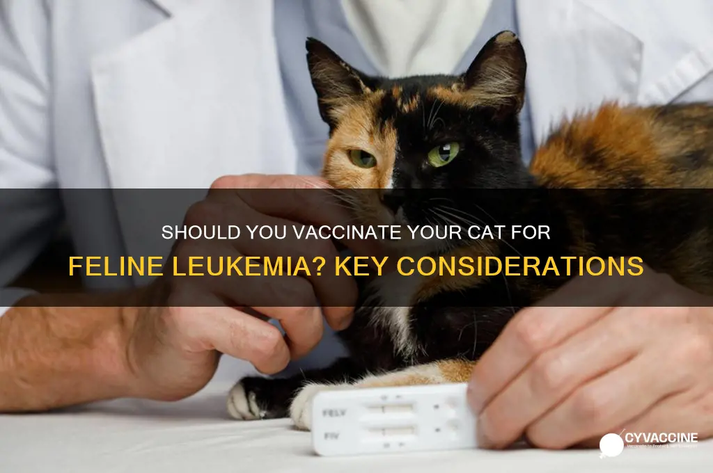 should i vaccinate my cat for feline leukemia