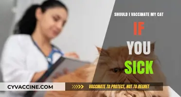 Should You Vaccinate Your Sick Cat? Expert Advice and Considerations
