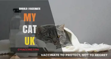 Feline Health in the UK: The Vaccination Debate