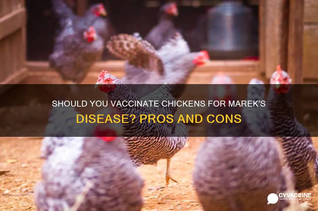 should i vaccinate my chickens for marek
