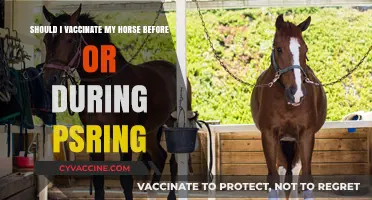 Spring Horse Vaccinations: Timing Tips for Optimal Equine Health