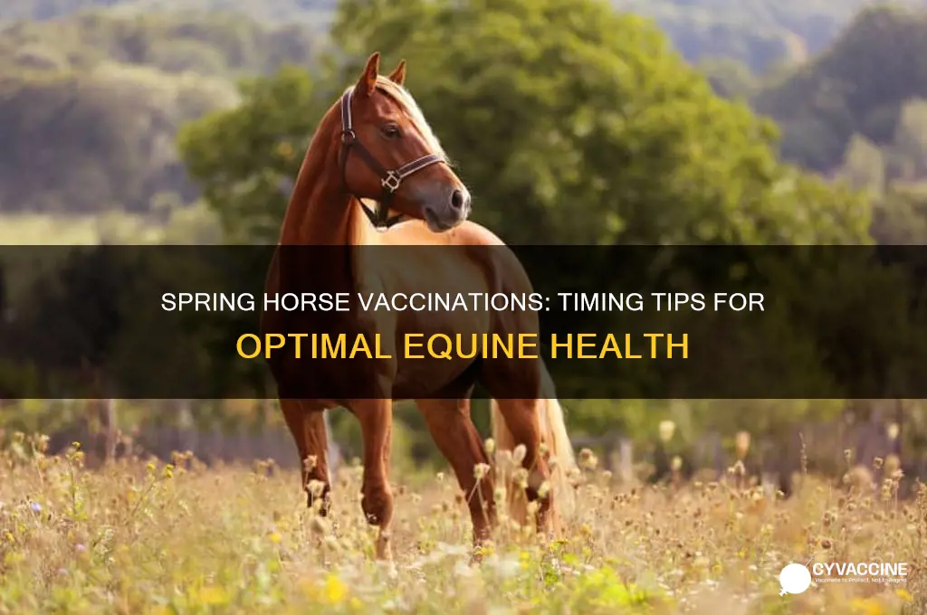 should i vaccinate my horse before or during psring