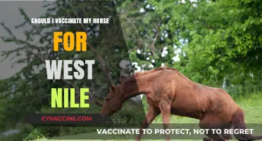 Should You Vaccinate Your Horse Against West Nile Virus?