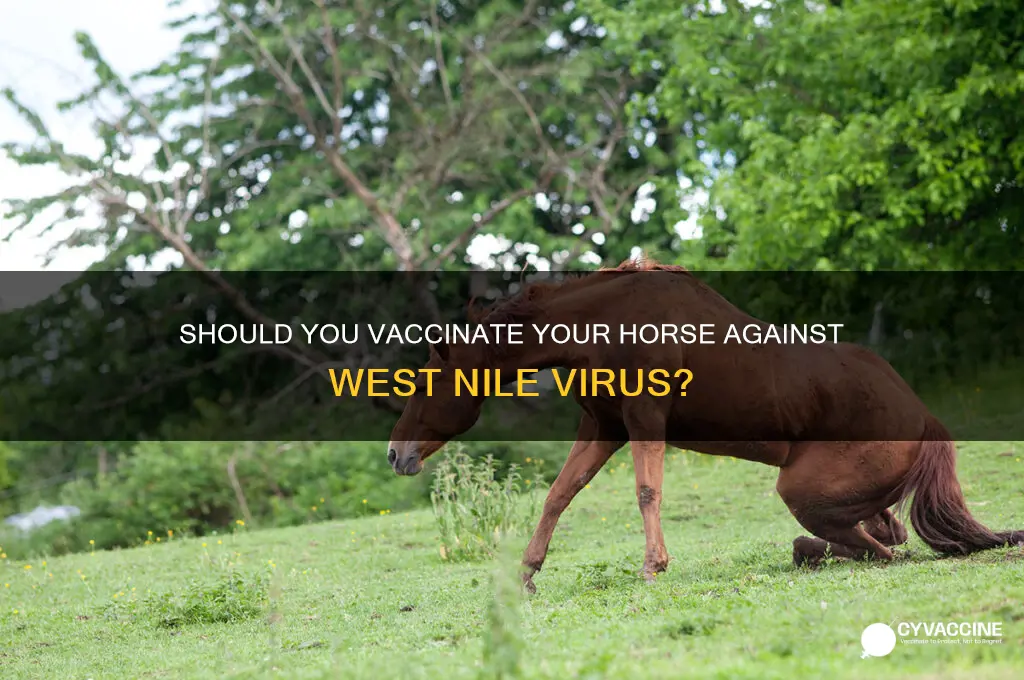 should i vaccinate my horse for west nile
