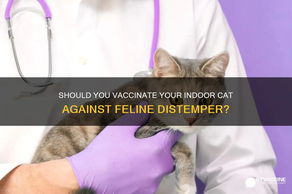 should i vaccinate my indoor cat for fel distemper