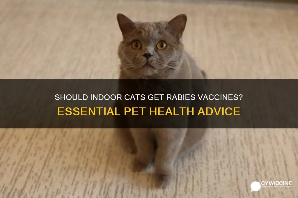 should i vaccinate my indoor cat for rabies