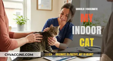 Feline Health Debate: To Vaccinate or Not Your Indoor Cat?