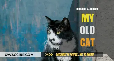 Feline Health at Any Age: The Vaccination Dilemma for Senior Cats