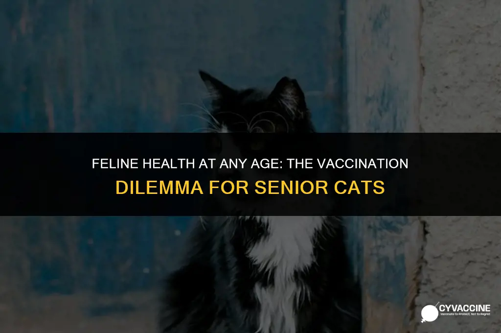 should i vaccinate my old cat