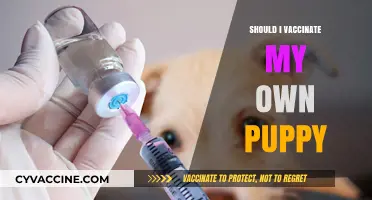 Protecting Your Furry Friend: The Puppy Vaccination Dilemma