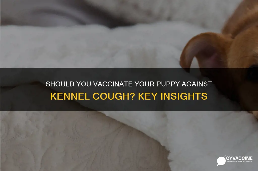 should i vaccinate my puppy against kennel cough