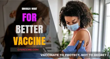 Should I Wait for a Better Vaccine? Weighing the Options