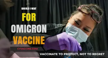 Should You Wait for the Omicron Vaccine? Expert Insights
