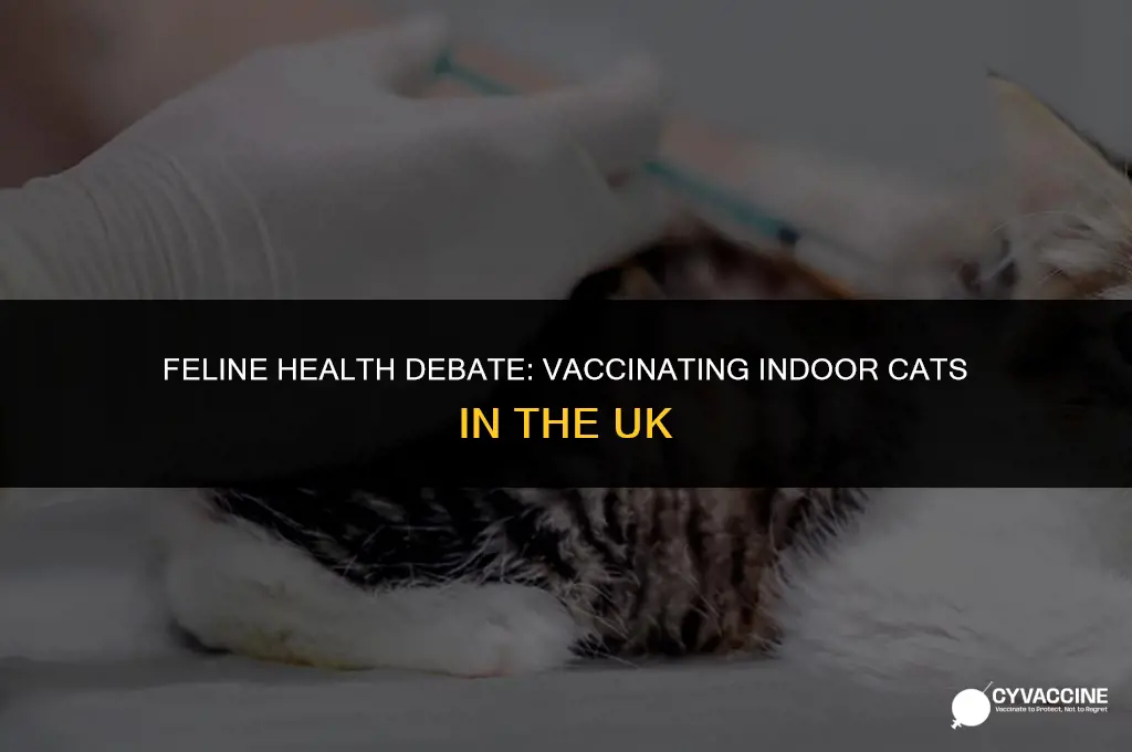 should indoor cats be vaccinated uk