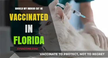 Indoor Cats in Florida: Essential Vaccinations for Optimal Health