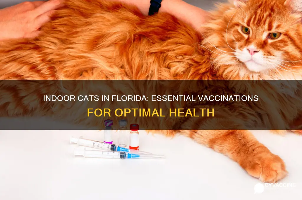 should my indoor cat be vaccinated in florida
