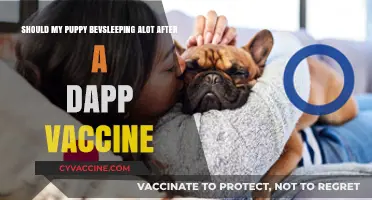 Is It Normal for Puppies to Sleep More After DAPP Vaccines?