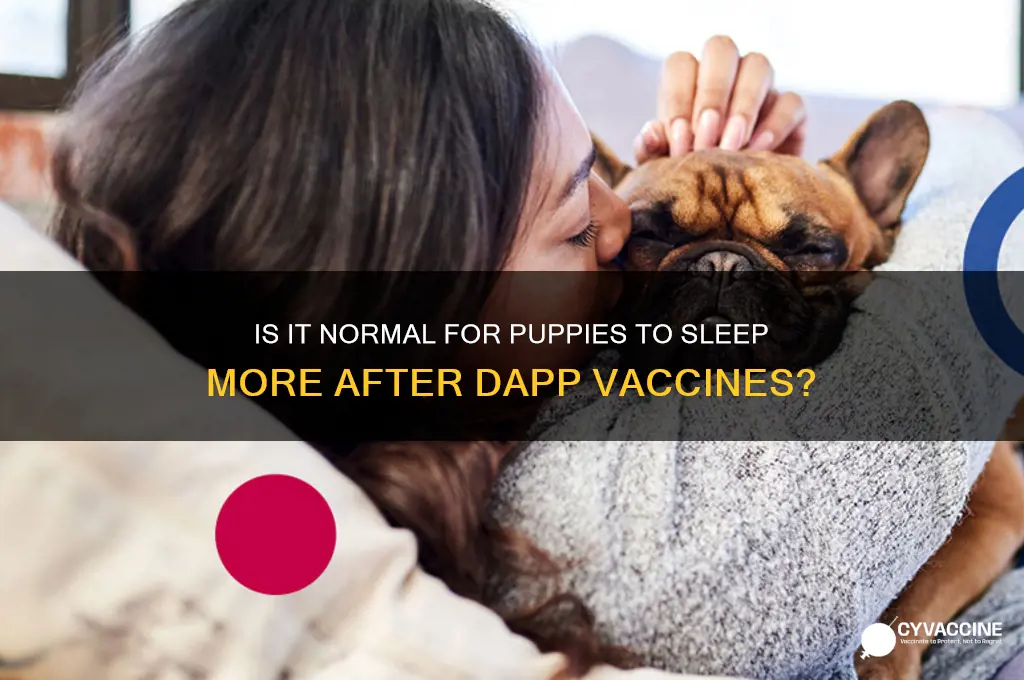 should my puppy bevsleeping alot after a dapp vaccine