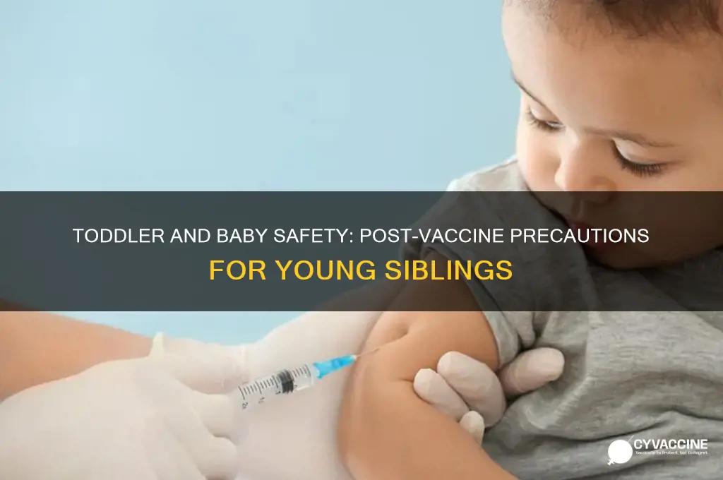 should my toddler stay away from baby after vaccine