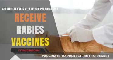 Rabies Vaccines for Senior Cats with Thyroid Issues: Necessary or Risky?